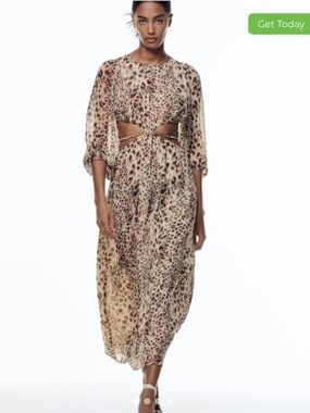 Zara Beige and Brown Leopard-Print Cutout Midi Dress
